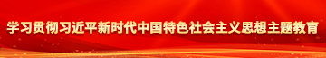 草比簧片免费看学习贯彻习近平新时代中国特色社会主义思想主题教育