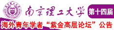 啊好痛嗯高潮了网站南京理工大学第十四届海外青年学者紫金论坛诚邀海内外英才！